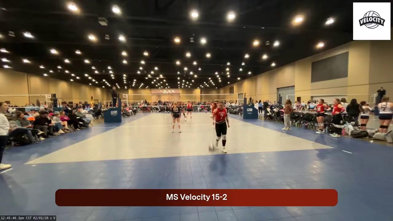 MS Velocity 15-2 (2026.02.01)