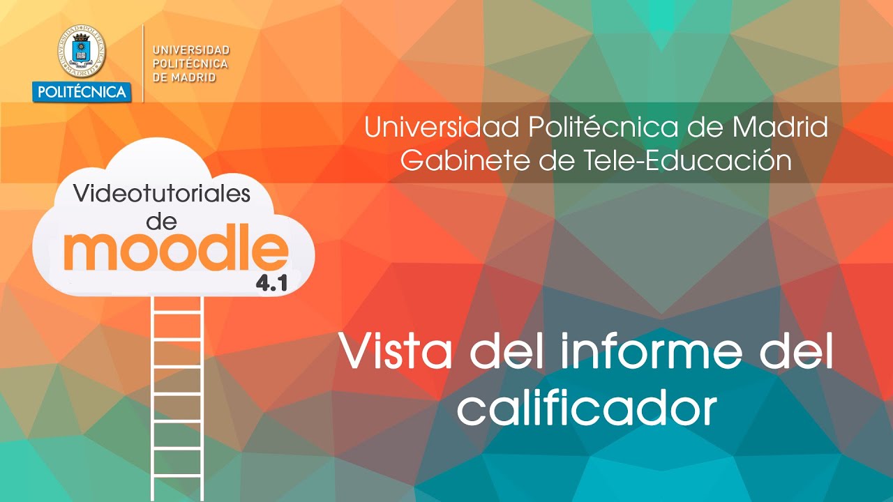 Vista del informe del calificador