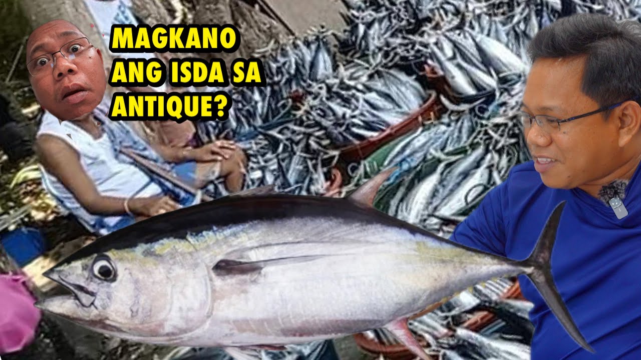 MURA DAW ANG ISDA SA ANTIQUE? DAYUHON BI NATON!