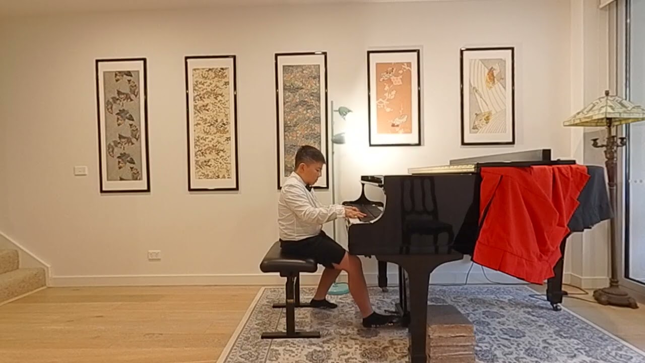 Haydn: Sonata in B Minor (1st Mvt) | Max Liu