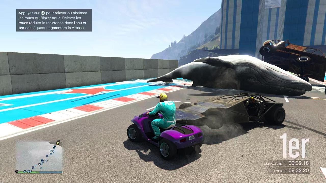 Grand Theft Auto V Face to whale / dolphin