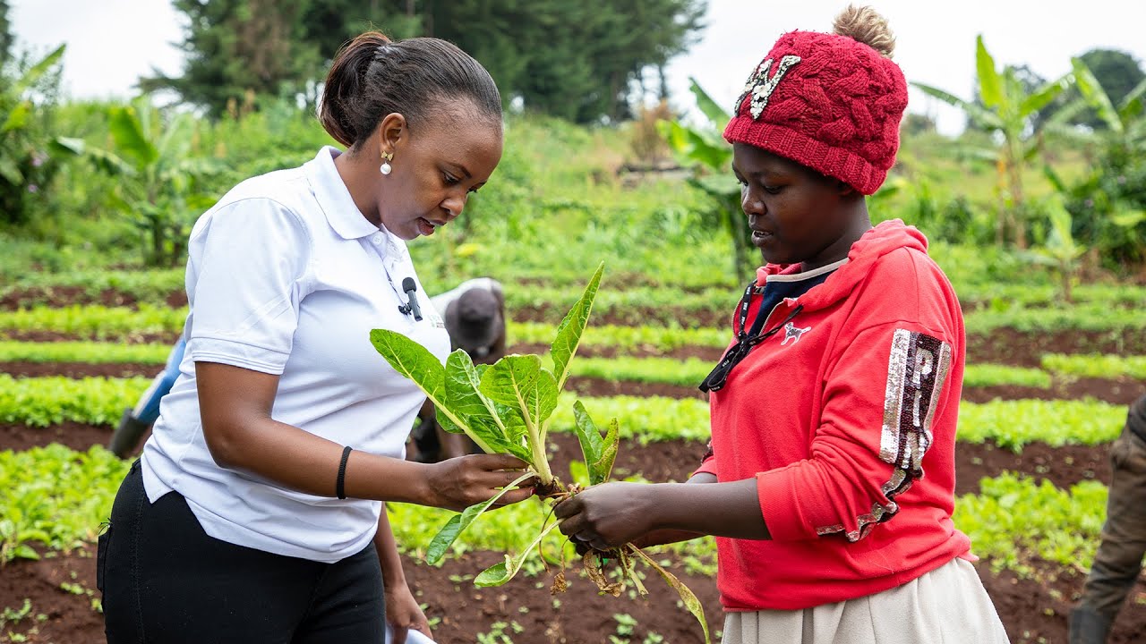 Meet The Brilliant Minds Behind Africa's Most Successful AI Solution To Hunger