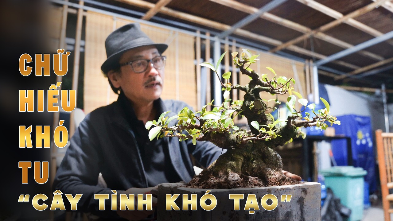 Đạo Hiếu & Cây Cảnh: Tu chữ Hiếu cũng khó như tạo tác một tác phẩm để đời | Nghệ Thuật Cây Cảnh VN