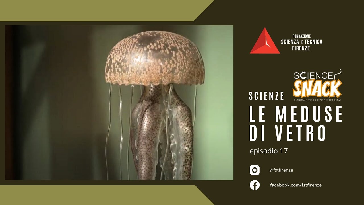Le meduse di vetro - Museo della Fondazione Scienza e Tecnica