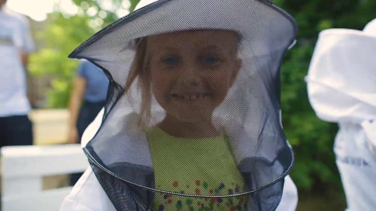 Pasieka miejska w Fabryce Pełnej Życia