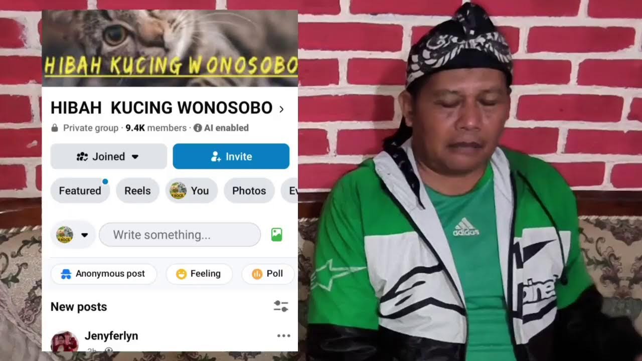 LIVE GRUP ADOPSI KUCING JALANAN