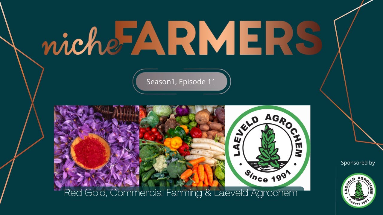 Niche Farmers Season 1 | Episode 11 | Saffron Farming