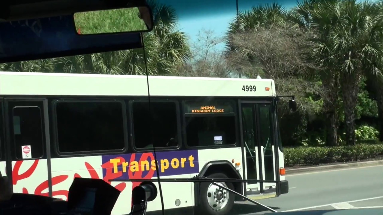 Walt Disney World Bus Ride: Hollywood Studios - Art of Animation Resort  (Nova #4953)