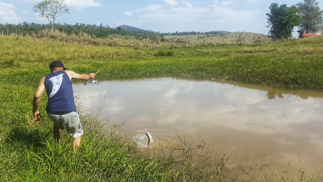 Pescaria de trairão gigante! Nunca imaginava que as gigantes estavam aqui