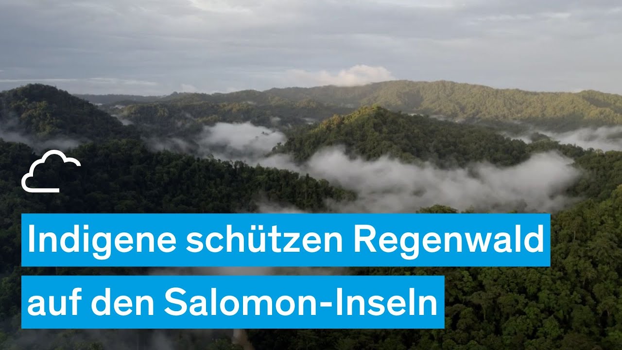 Indigene schützen Regenwald auf den Salomon-Inseln – myclimate