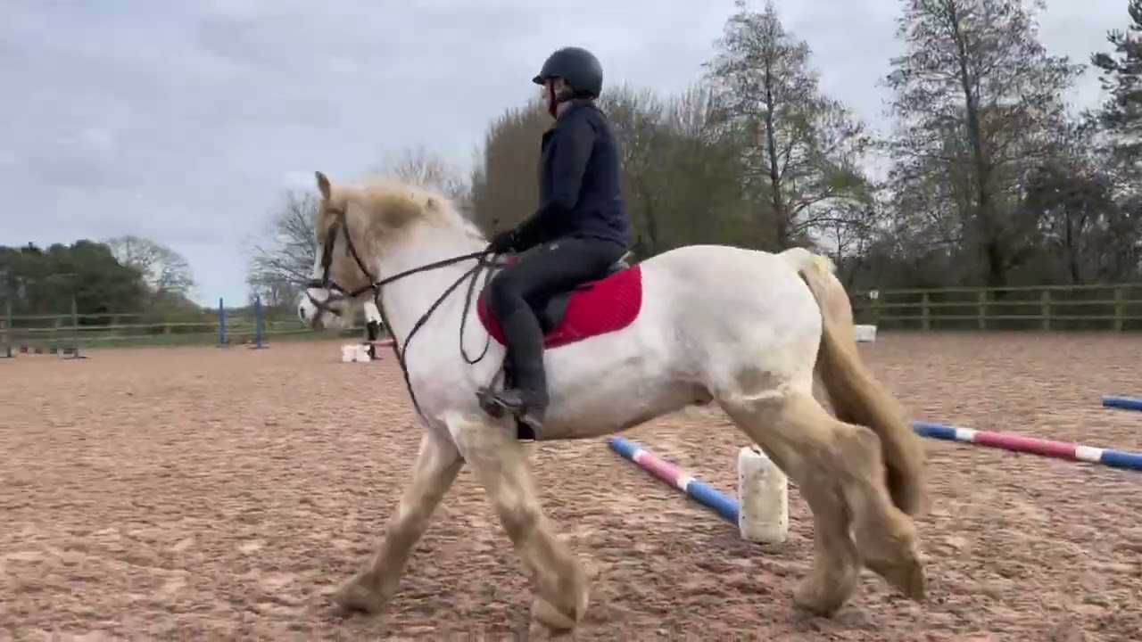 Week 5 - Riding Club Pole Work Clinic