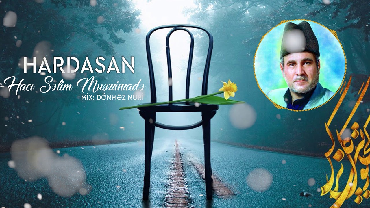 Selim Muezzinzade - Hardasan Mehdi Can (mix) 2021