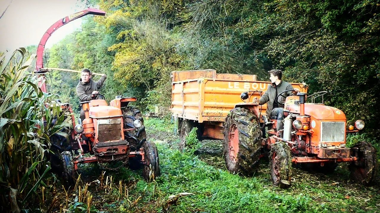 Ensilage à L'ancienne [Conditions Difficiles]
