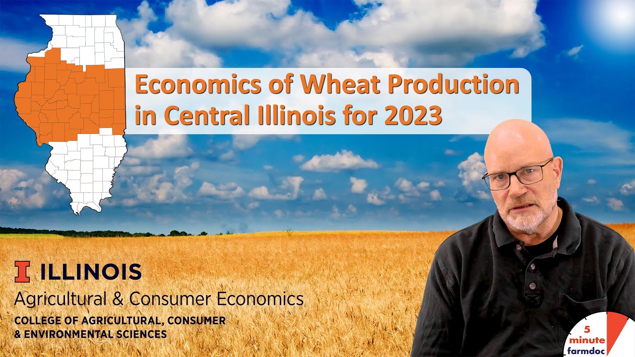 Economics of Wheat Production in Central Illinois for 2023