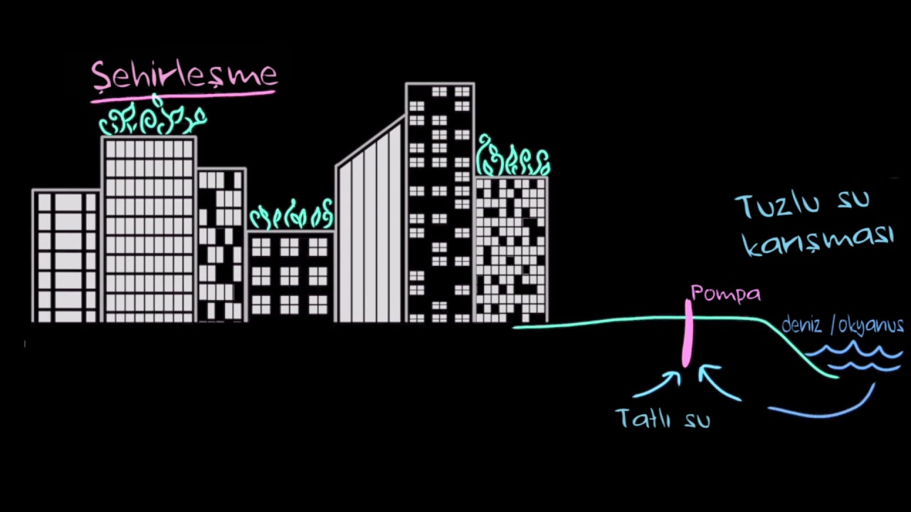 Kentleşmenin Çevre Üzerindeki Etkileri (Çevre Bilimleri)