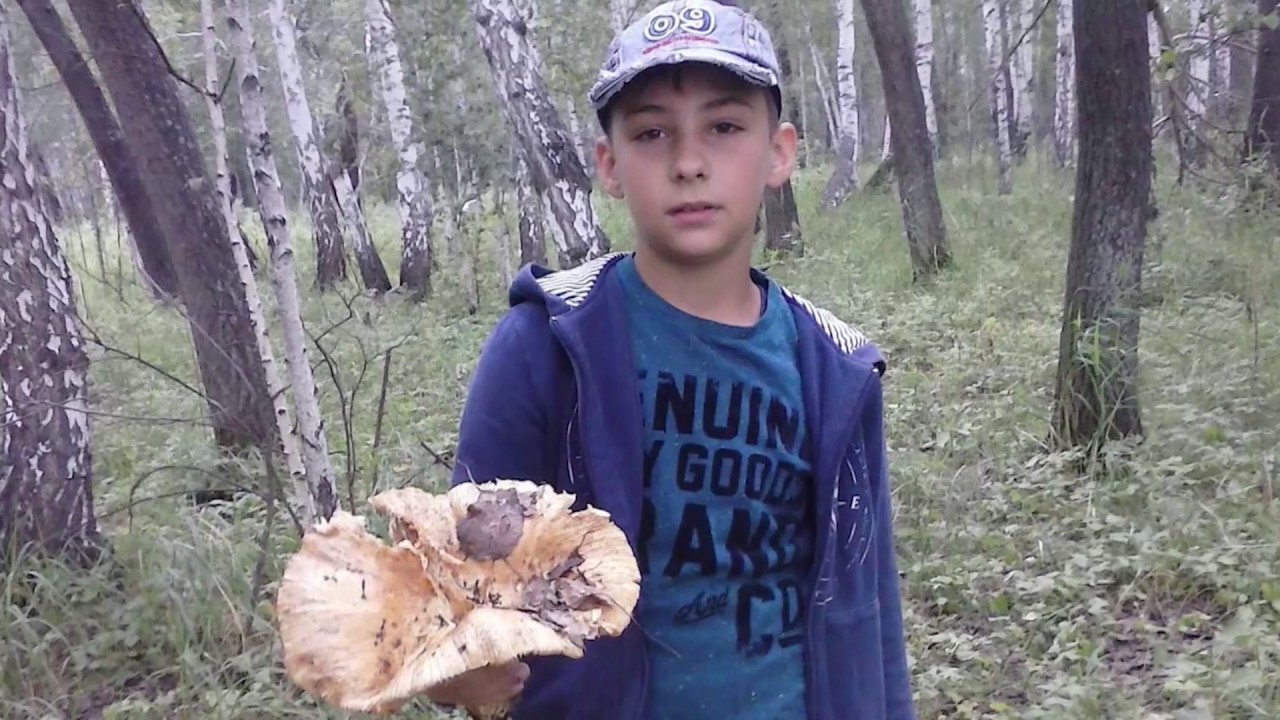 Куда пропадают дети