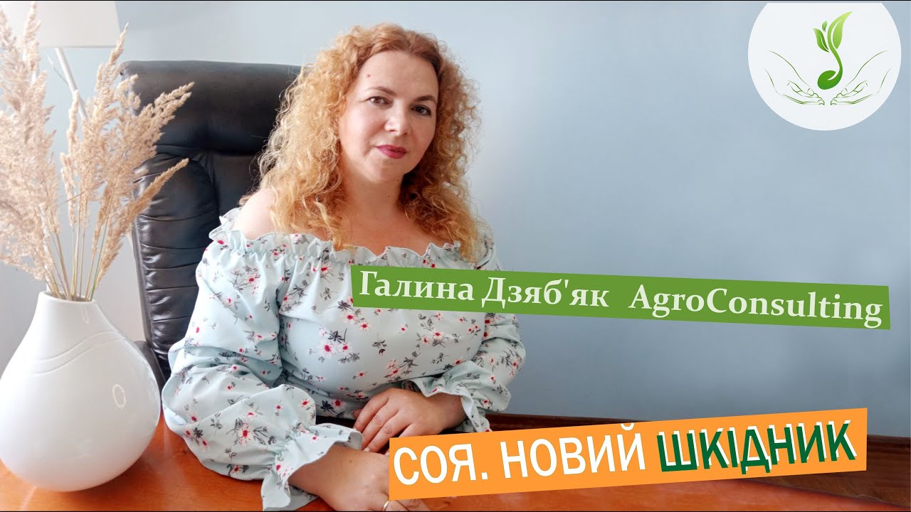Коричневий мармуровий клоп - нова загроза врожаю сої!