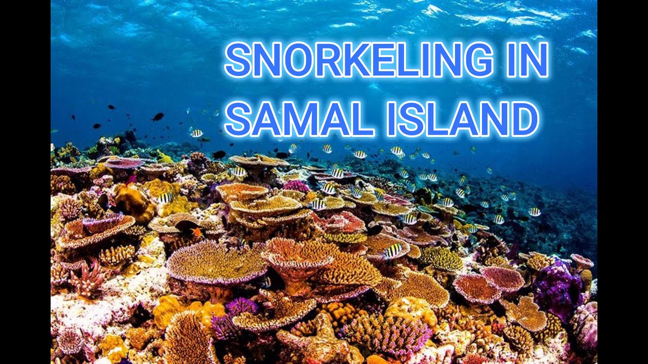 SNORKELING IN SAMAL ISLAND PHILIPPINES 2025