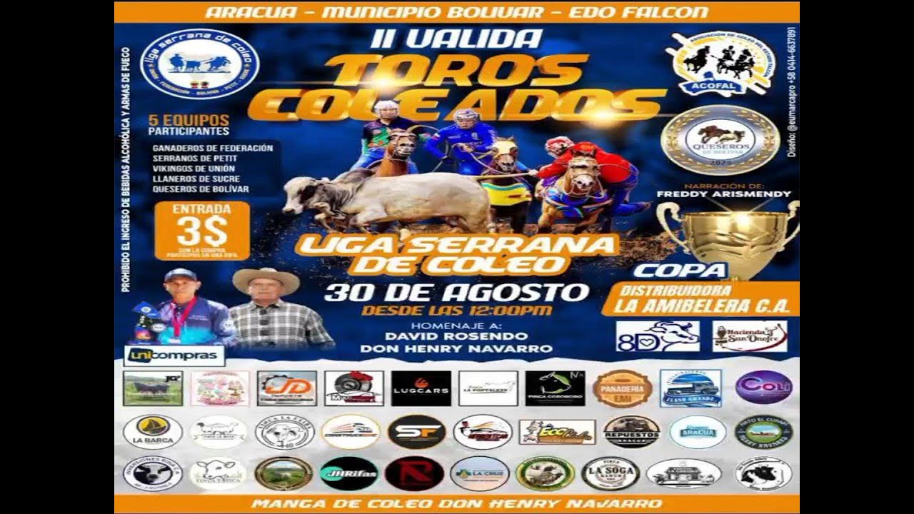 ll VALIDA TOROS COLEADOS LIGA SERRANA DE COLEO
