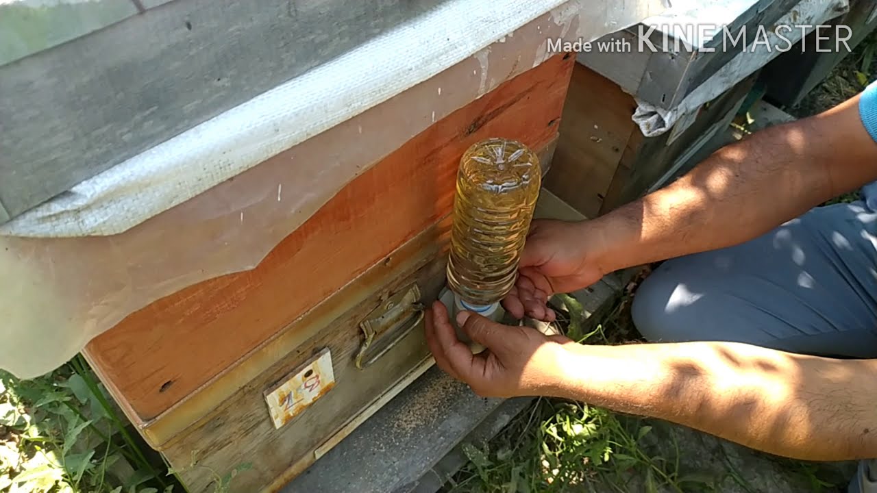 Пчеловодство: разное медовое кормление. (Как кормить на улице?)
