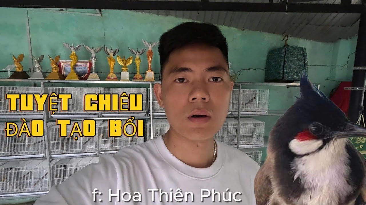 TUYỆT CHI&Ecirc;U CHỌN V&Agrave; THUẦN CH&Agrave;O M&Agrave;O BỔI TRỞ TH&Agrave;NH CHIẾN BINH CHUẨN NHẤT | Thi&ecirc;n Ph&uacute;c Hồ Sơ Chiến Binh