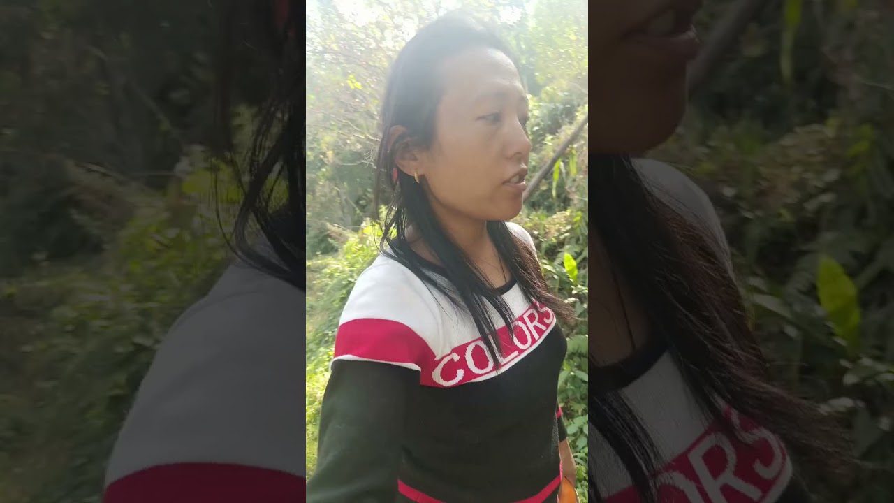 Organic 🍊 orange sittong kanchan homestay 