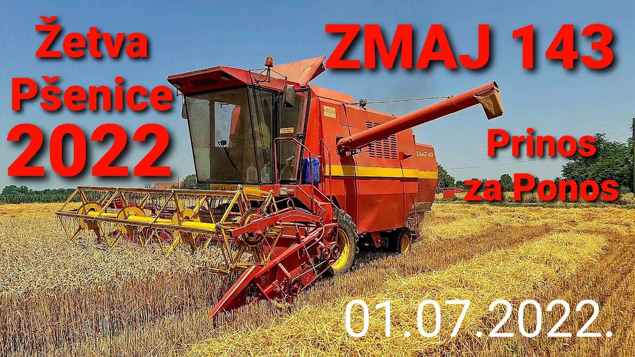 Zetva Psenice 01.07.2022. ZMAJ 143 | Harvest 2022