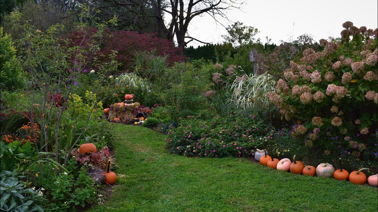 Decorating the Garden for Fall 🍂🍁🎃 // Northlawn Flower Farm