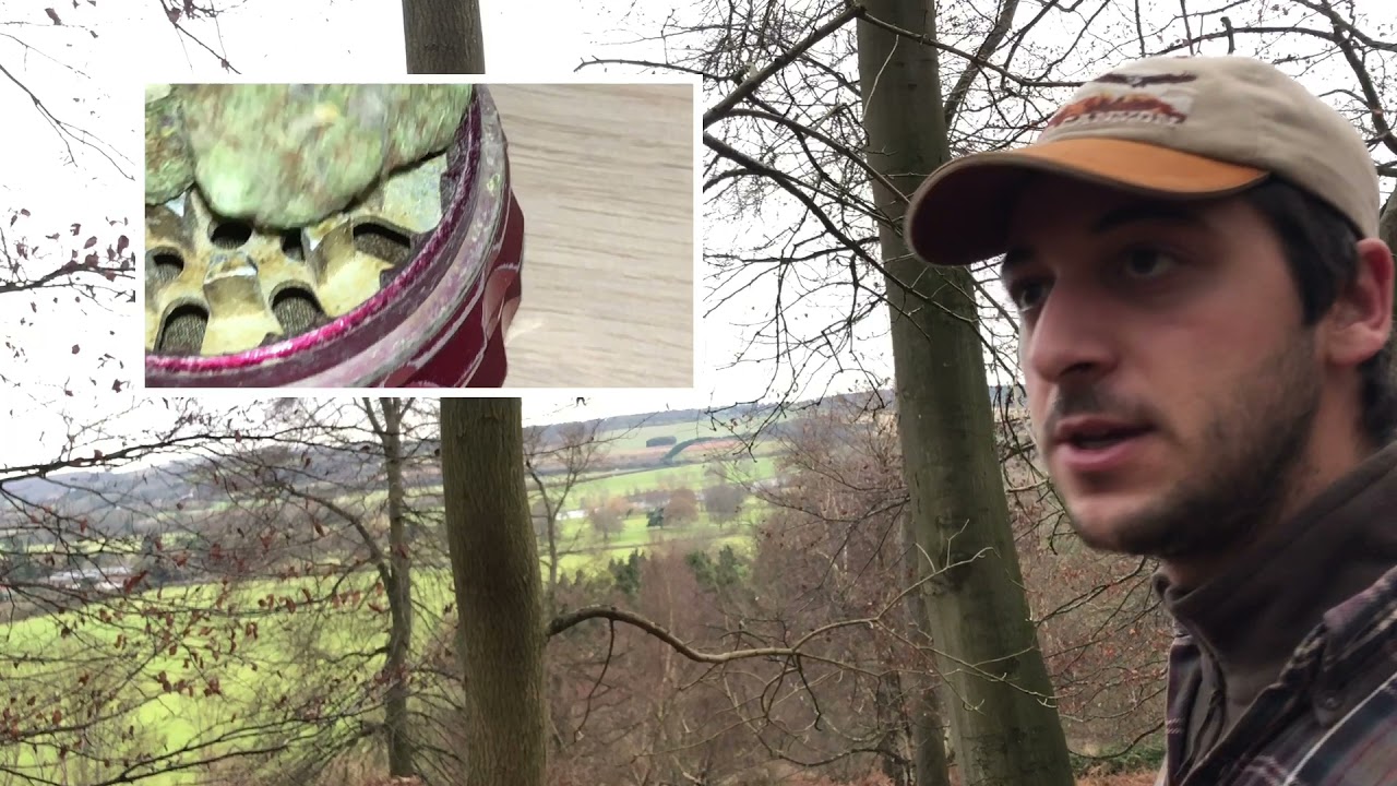 Sunday Strain Review #34 - Apple Runtz 🍏 ⛽️