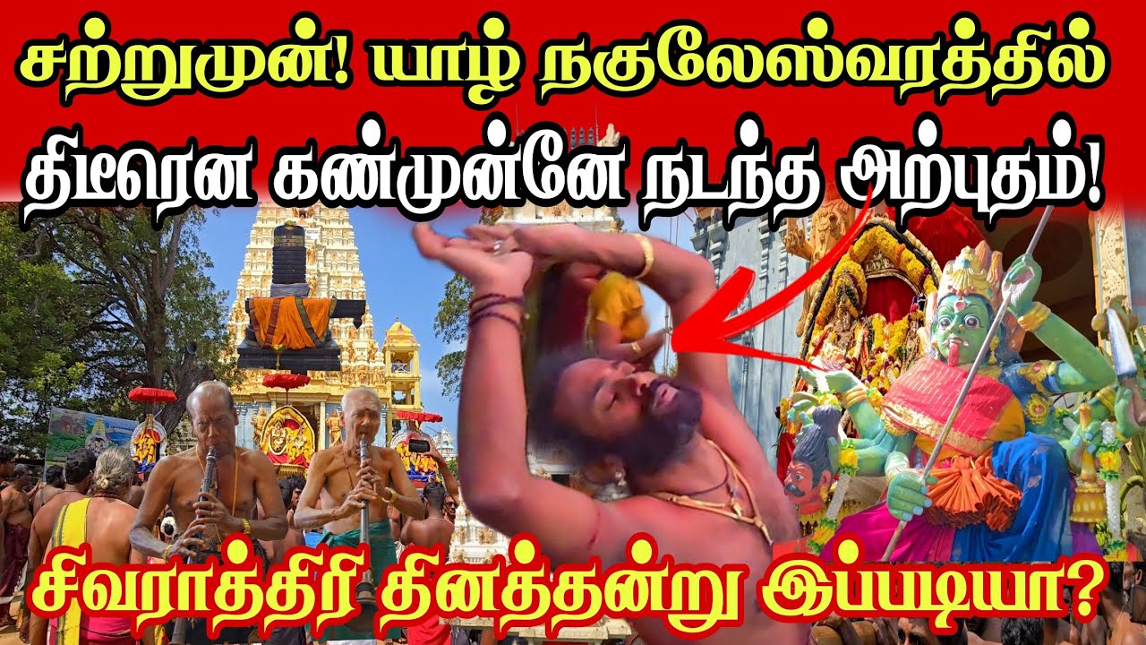 🔴சற்றுமுன்! யாழ் கீரிமலை நகுலேஸ்வரத்தில் திடீரென கண்முன்னே நடந்த அற்புதம்!தேர்திருவிழாவில் இப்படியா!
