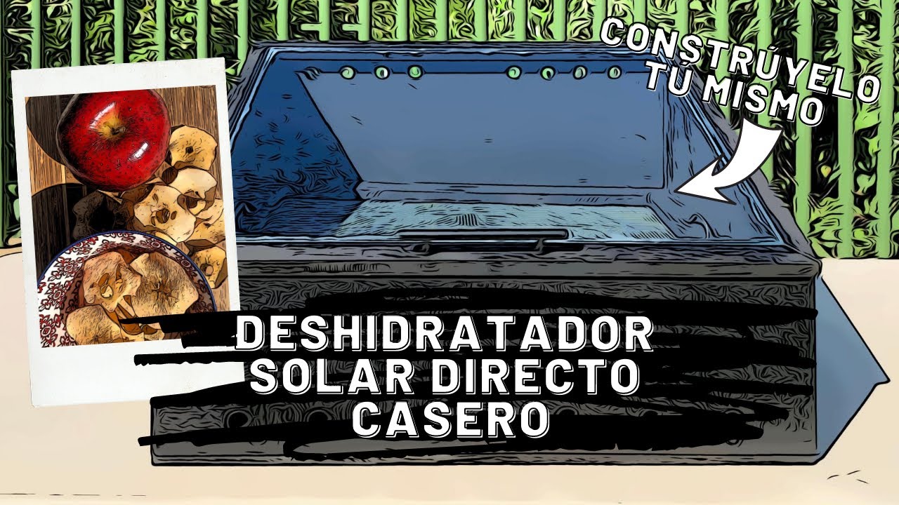 ¿Cómo hacer un deshidratador solar casero?
