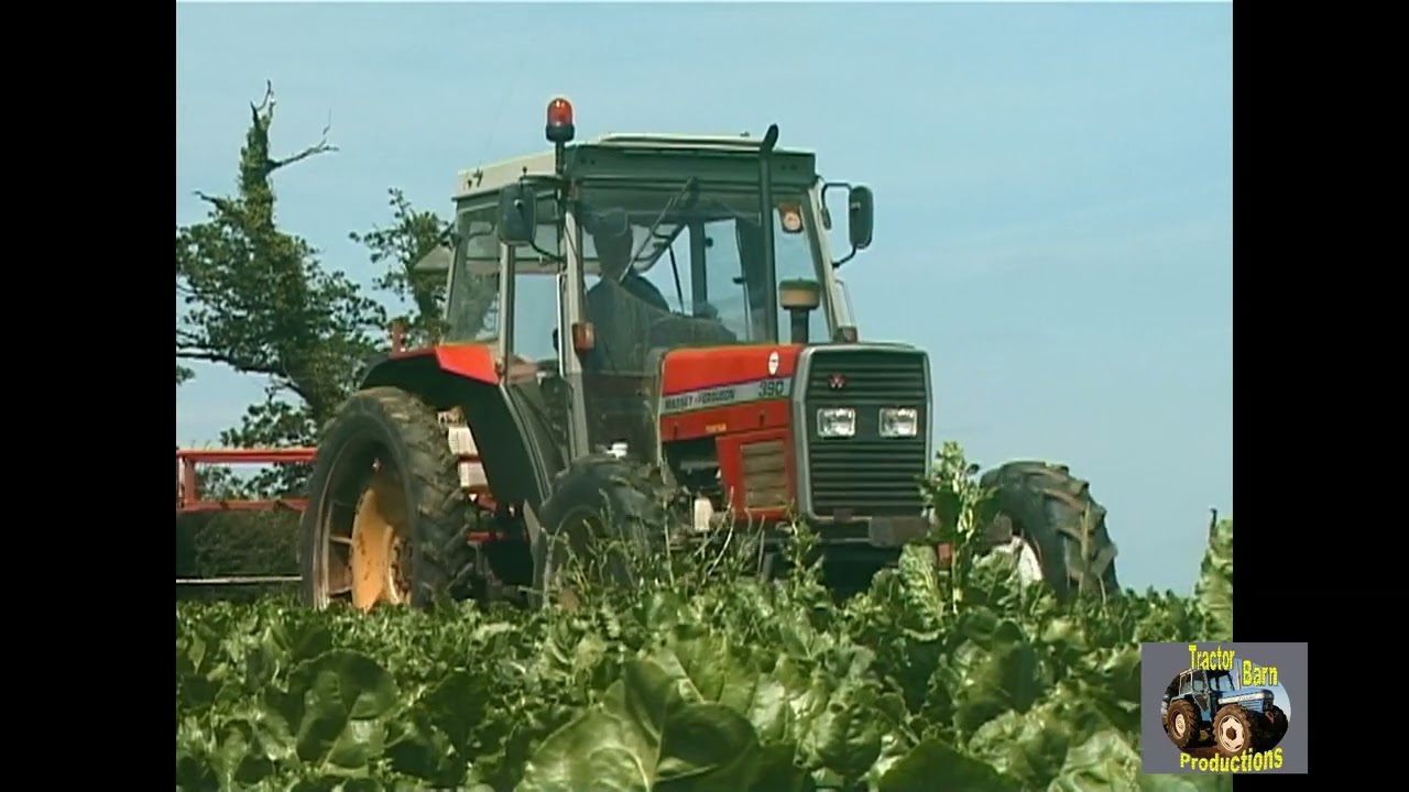 MASSEY FERGUSON 390 AND MATROT WEED WIPER