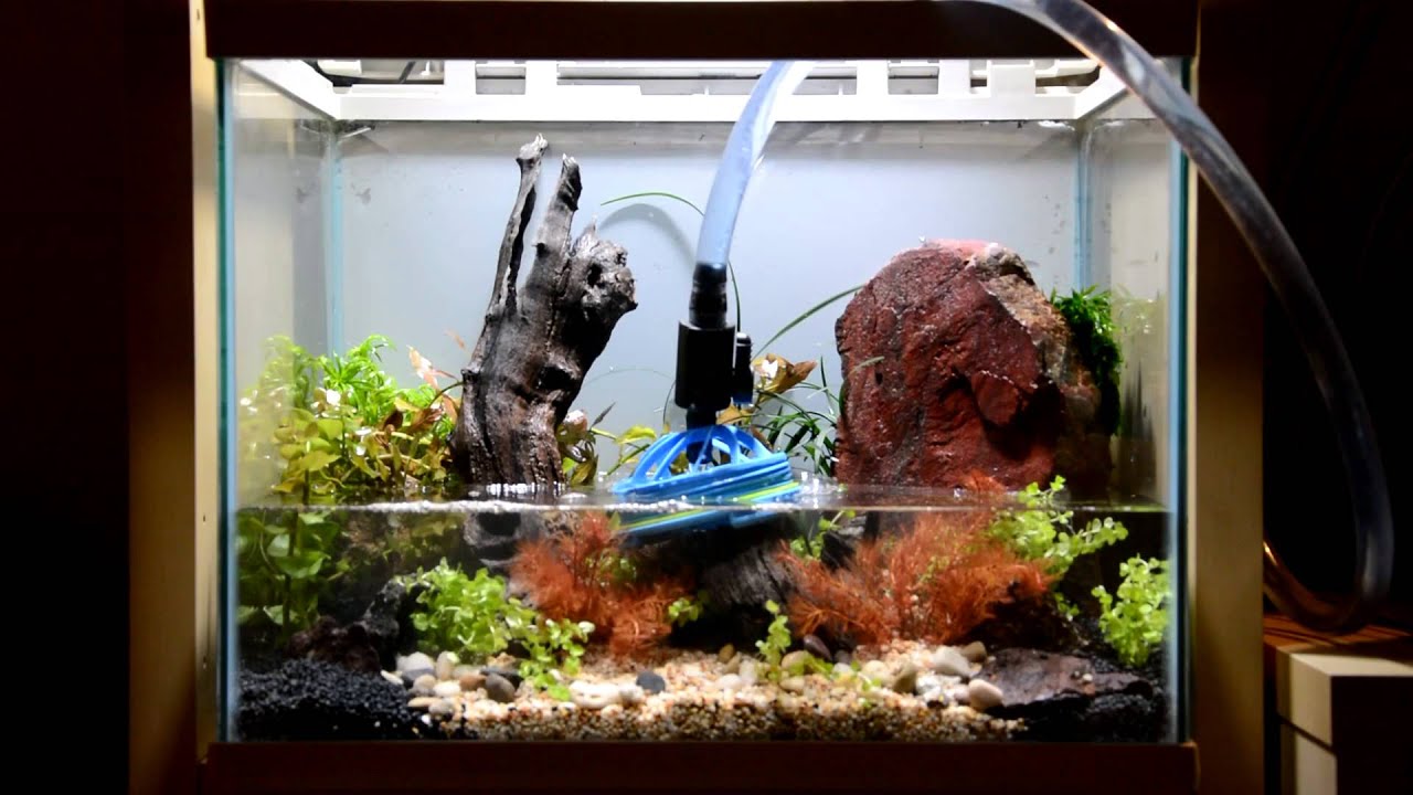 # خطوات عمل حوض متكامل لأسماك الزينة Aquarium fish Setup I