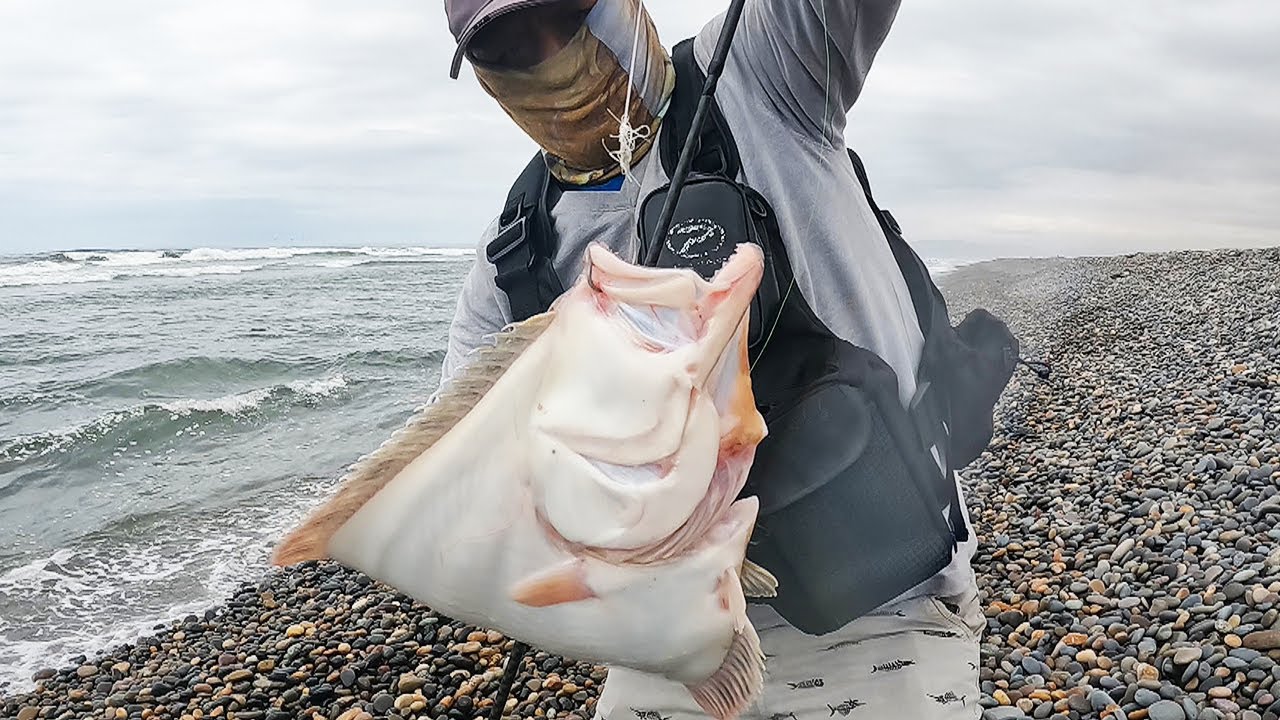 El imán de peces: Esconde el anzuelo y Pesca de forma irresistible.