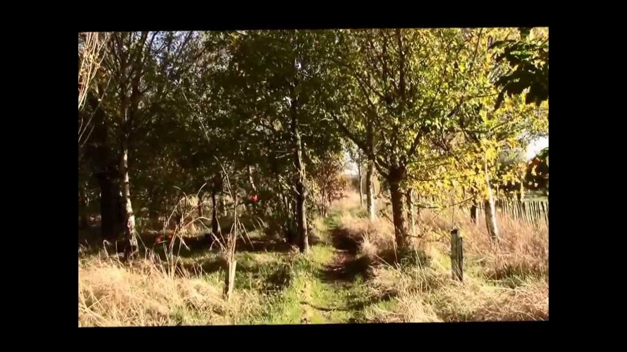 Greenhaven Woodland Burial Ground (2013 Two Decades Later)