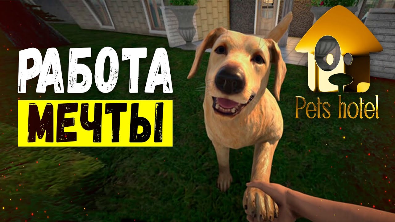 Открыл отель для животных в Pets Hotel | Первый взгляд на игру