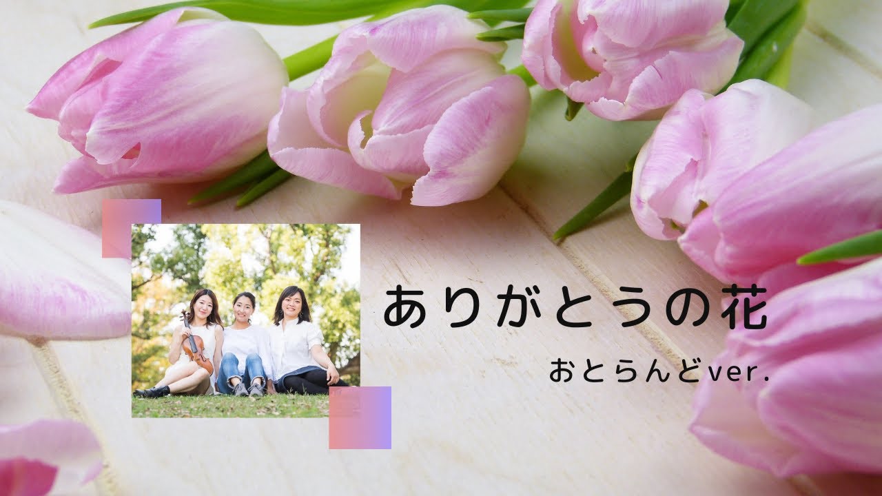 ありがとうの花