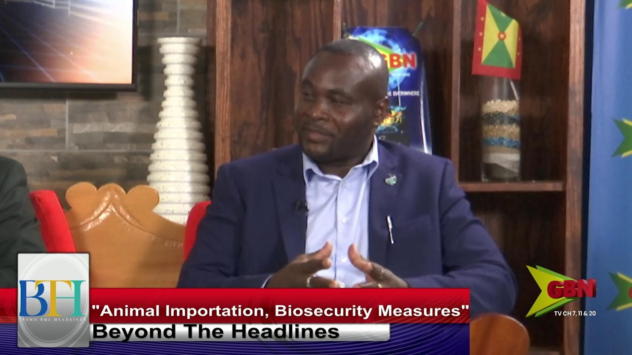 Beyond The Headlines 15th June 2026