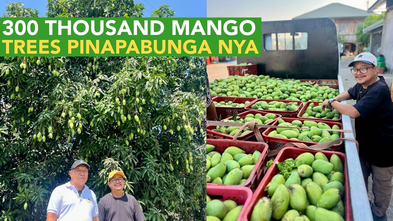 Mga Taong Tumulong kay Mango King 50 Yrs Ago, Sila parin ka Transaction nya Ngayon!