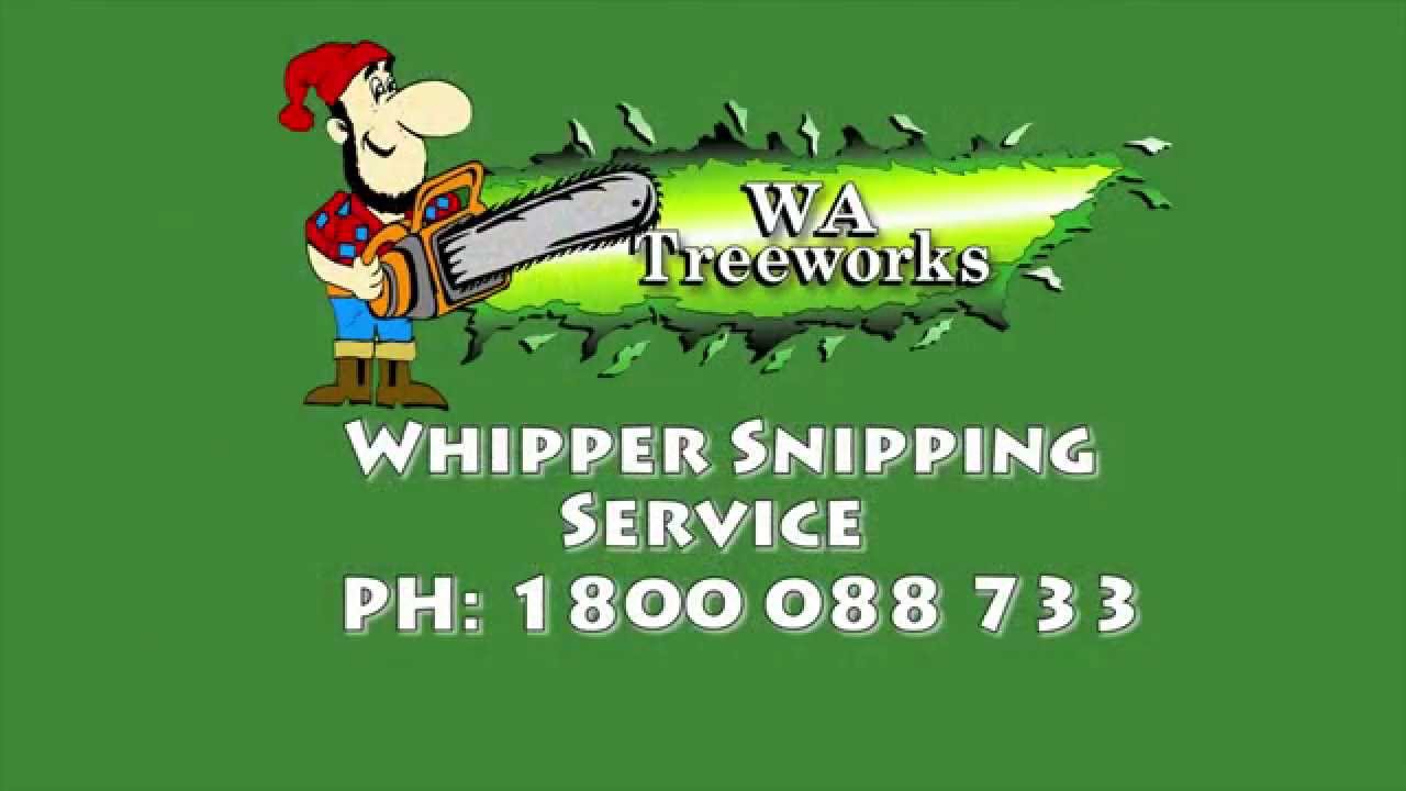 WA TreeWorks Whipper Snipping Service