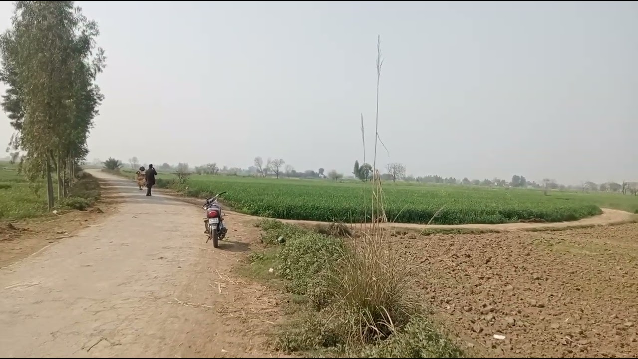 03064108494Best investment for Farm House Dairy Farm Near Main Sua Asal road Lahore 