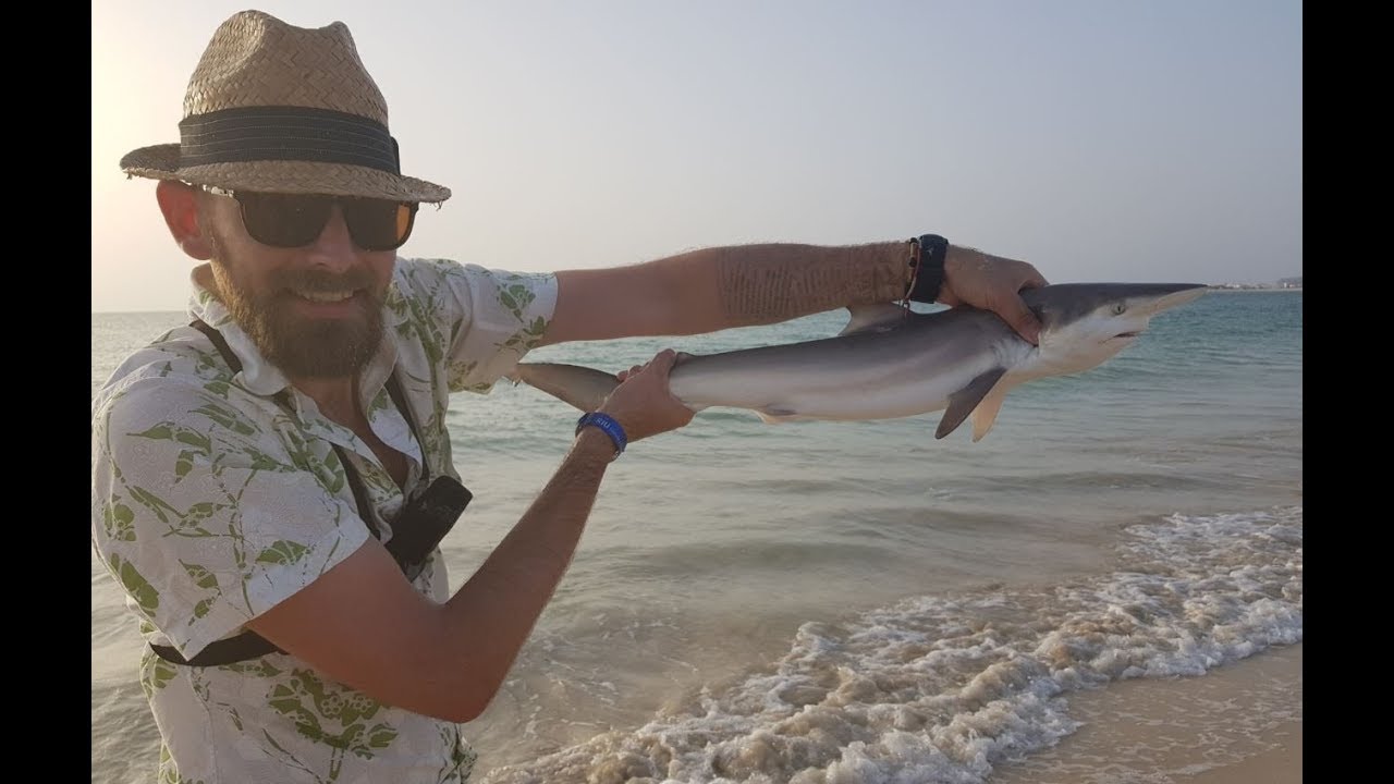 Shark Fishing Chaos - Cape Verde - Boa Vista