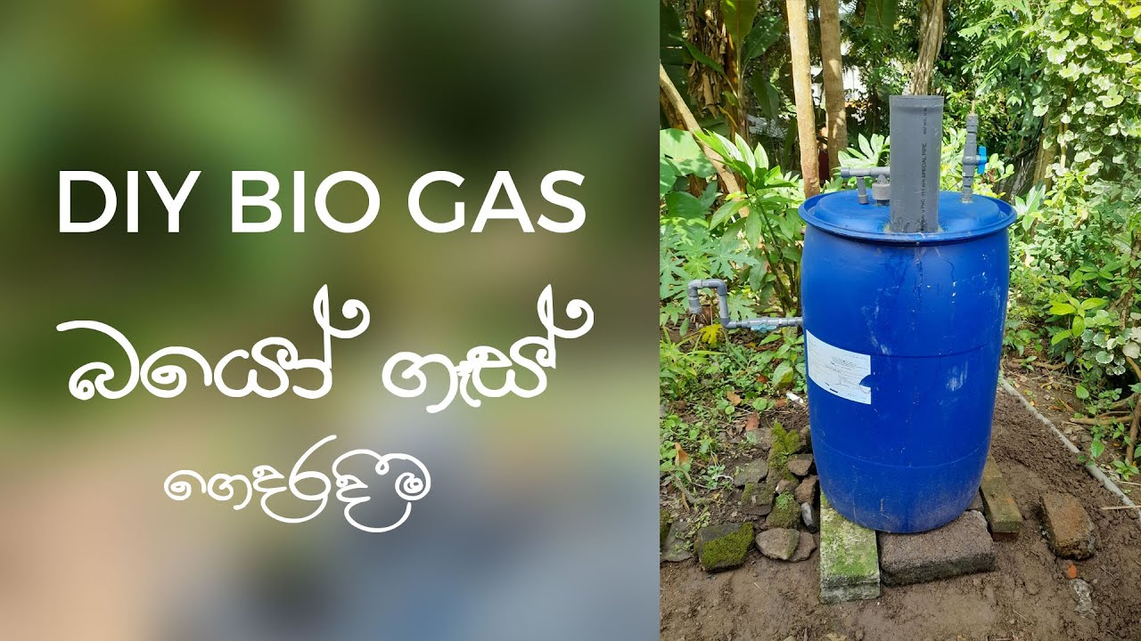 How to create bio gas unit at home? | බයෝ ගෑස් ගෙදරදීම සාදා ගන්නේ කොහොමද? DIY