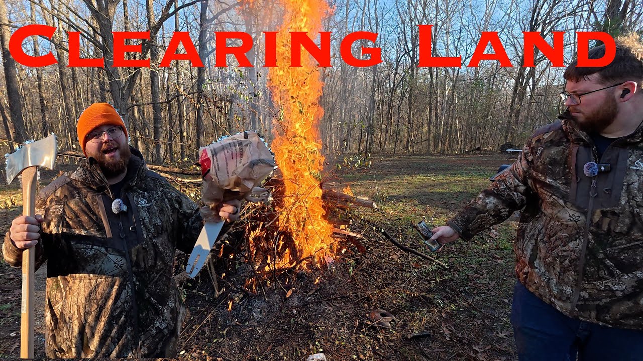 How to Clear Land Without Heavy Machinery