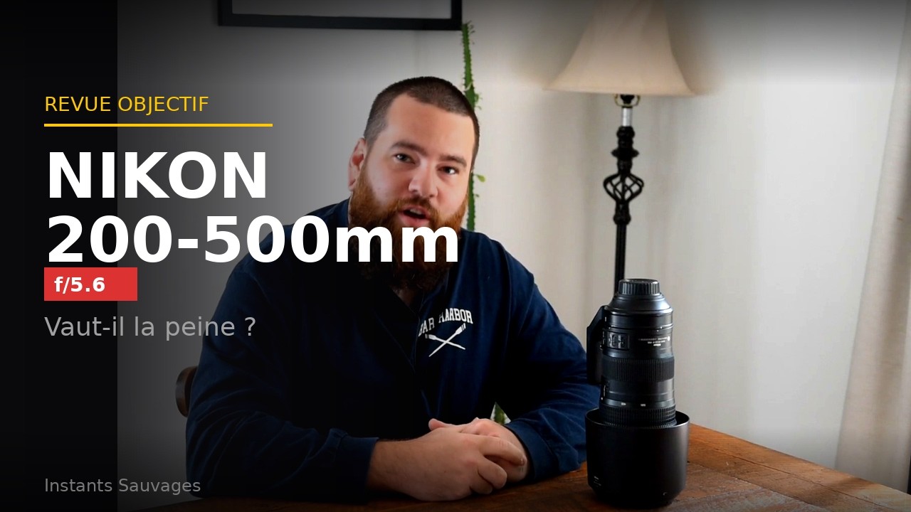 Matériel photo : Le Nikon 200-500mm f5.6 - téléphoto pour la photographie animalière