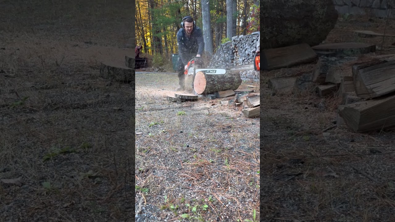 592xp VS 395xp what one are you taking ? #chainsaw #faller #husqvarna #treework #firewood