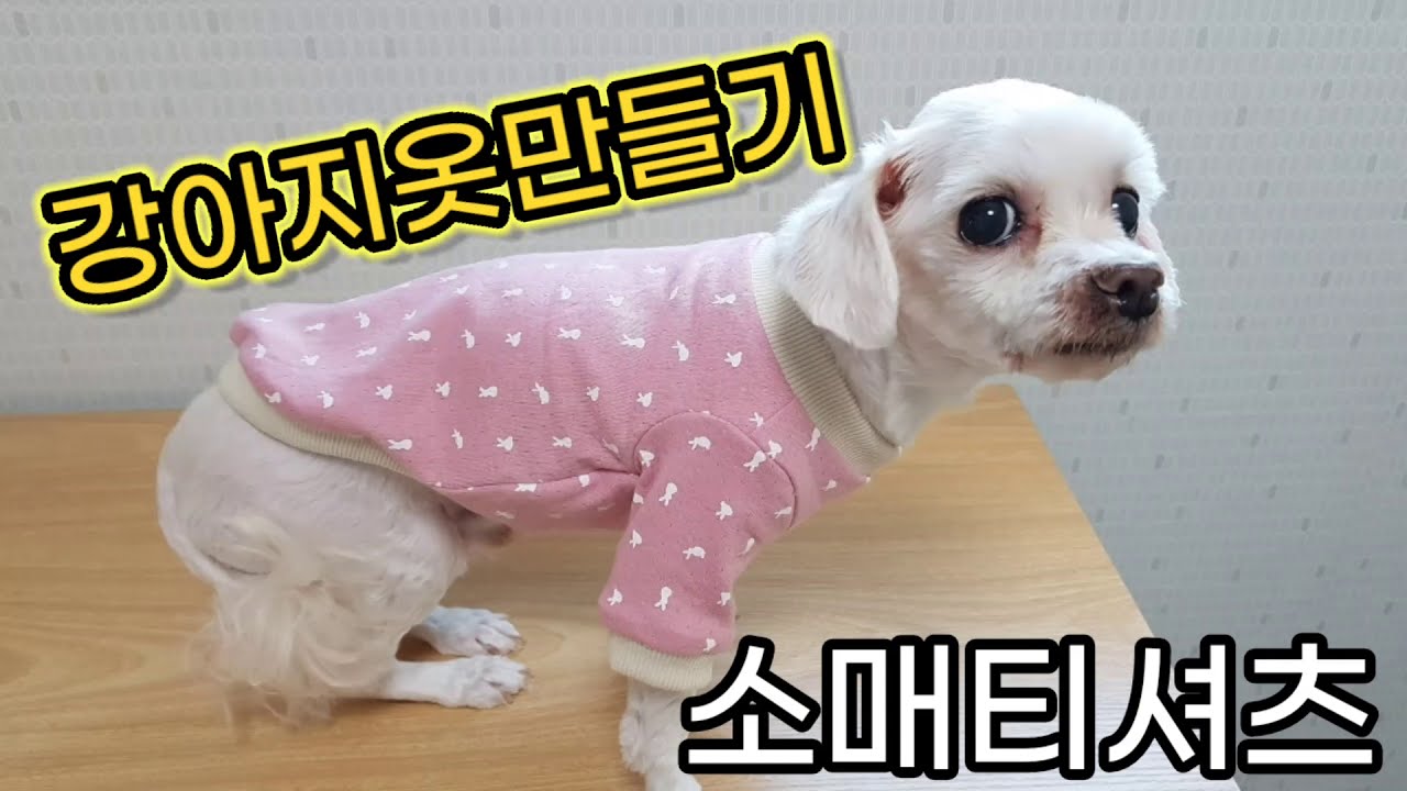 강아지옷만들기ㅣ강아지소매티셔츠만들기ㅣ핸드메이드강아지옷ㅣ강아지티셔츠만드는법ㅣ강아지시보리티셔츠 같이 만들어요!!