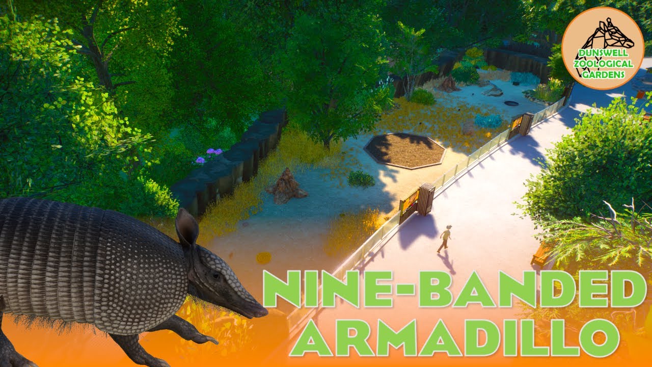 NINE-BANDED ARMADILLO || EP15 || DUNSWELL ZOO || PLANET ZOO