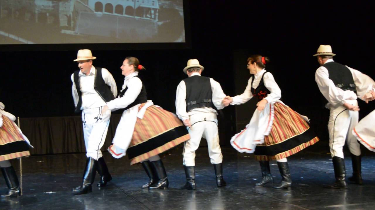 Vid&eacute;ki T&aacute;ncegy&uuml;ttes - Vid&eacute;ki Dance Group
