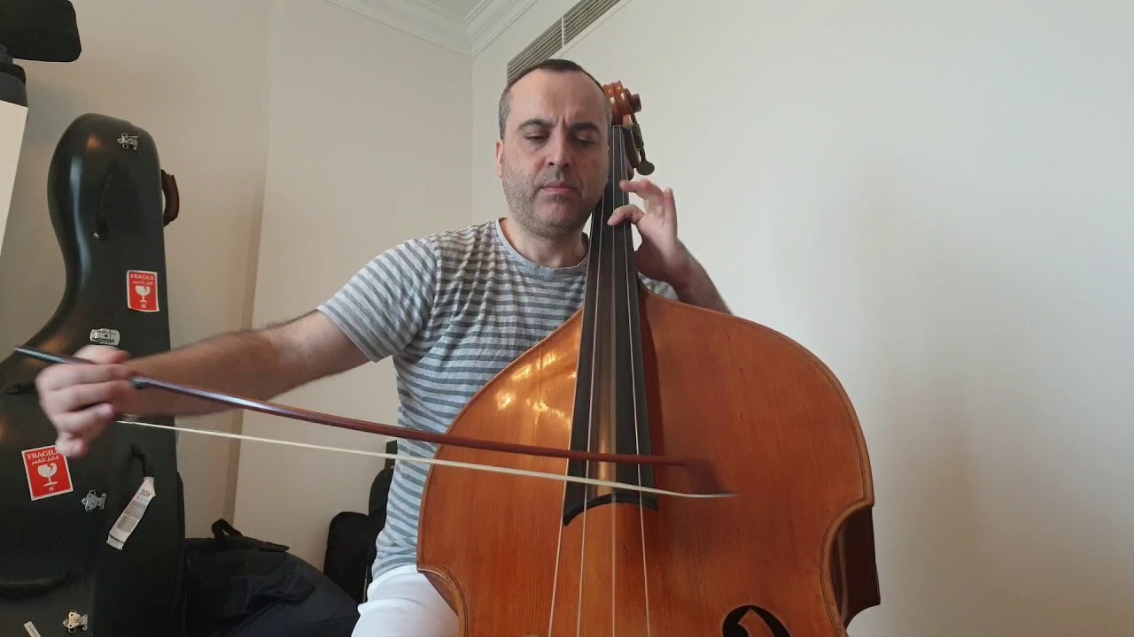 Haydn - Symphony n.31, Variation n.7 - Double Bass Solo excerpt